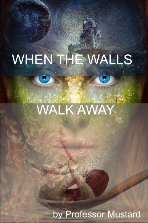 Cover of the book When The Walls Walk Away by Professor Mustard, Professor Mustard