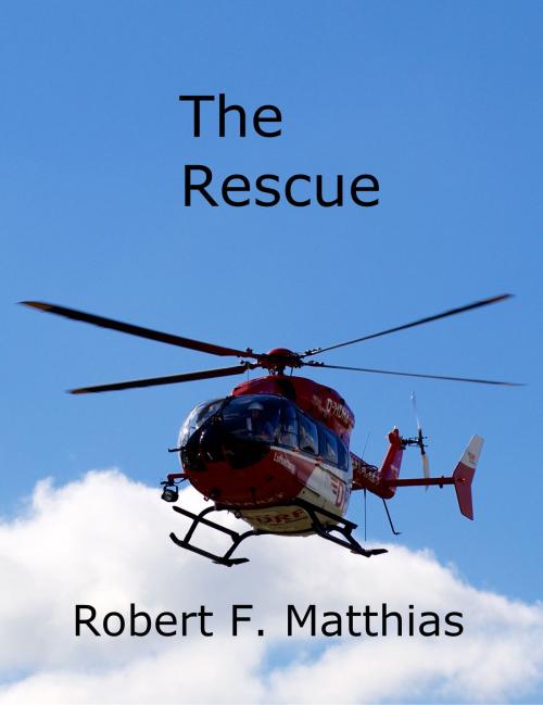 Cover of the book The Rescue by Robert Matthias, Robert Matthias