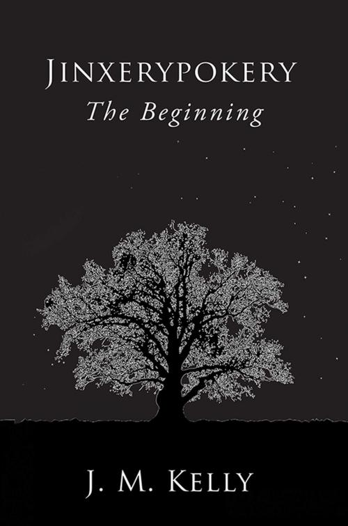 Cover of the book Jinxerypokery: The Beginning by J. M. Kelly, Austin Macauley