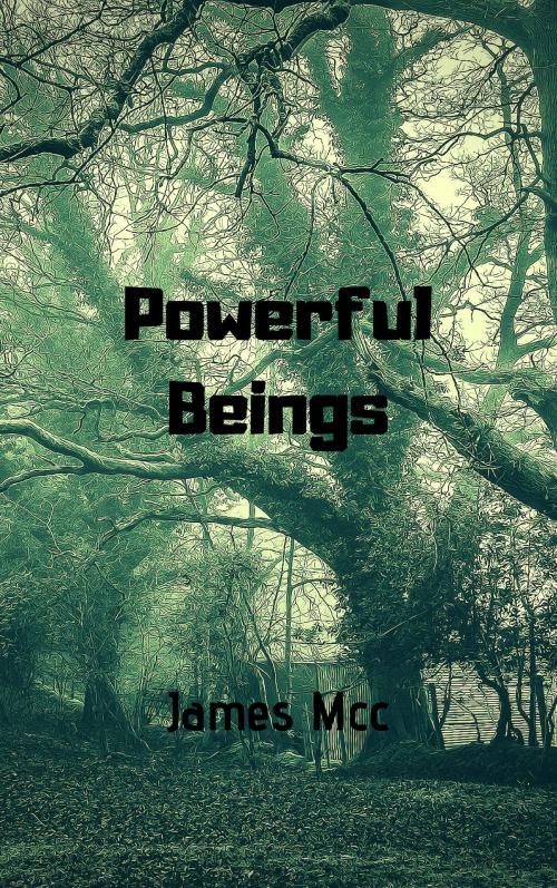 Cover of the book Powerful Beings by James Allan, James Allan