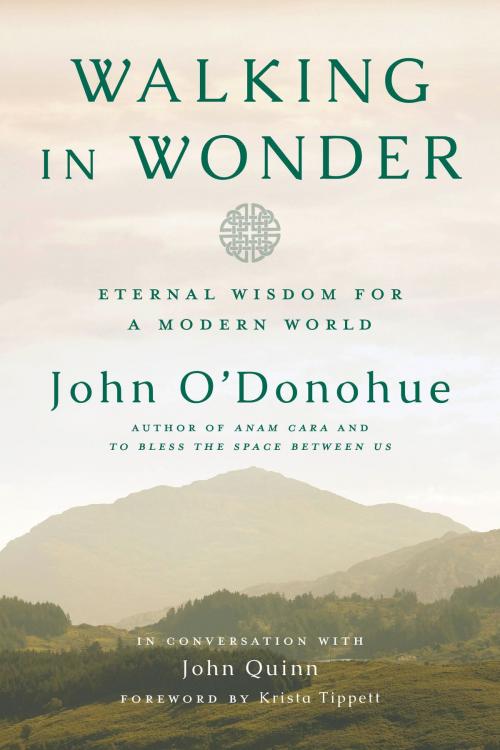 Cover of the book Walking in Wonder by John O'Donohue, John Quinn, The Crown Publishing Group