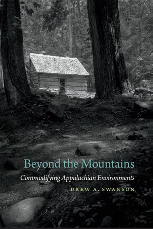 Cover of the book Beyond the Mountains by Drew A. Swanson, James Giesen, University of Georgia Press