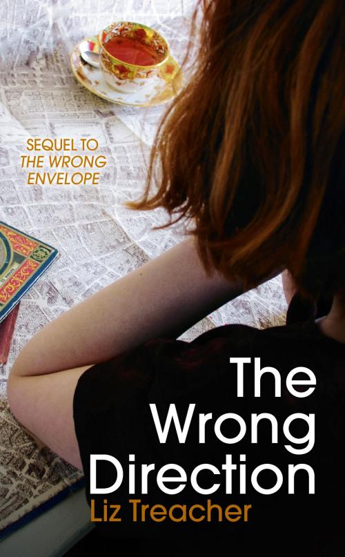 Cover of the book The Wrong Direction by Liz Treacher, Liz Treacher