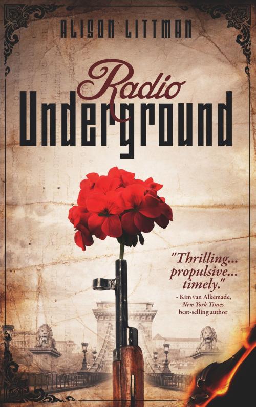 Cover of the book Radio Underground by Alison Littman, Last Syllable Books