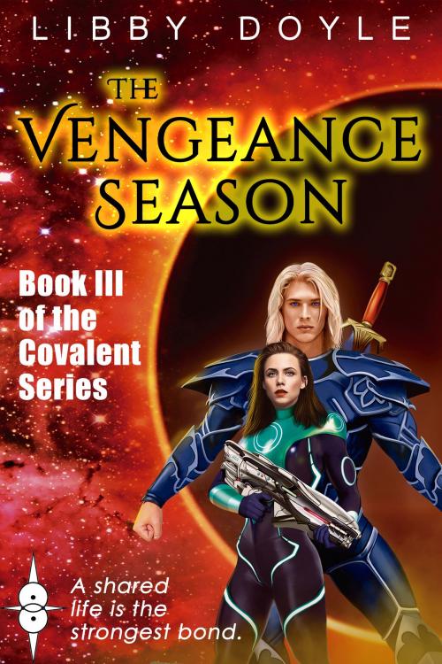 Cover of the book The Vengeance Season by Libby Doyle, Fairhill Publishing LLC
