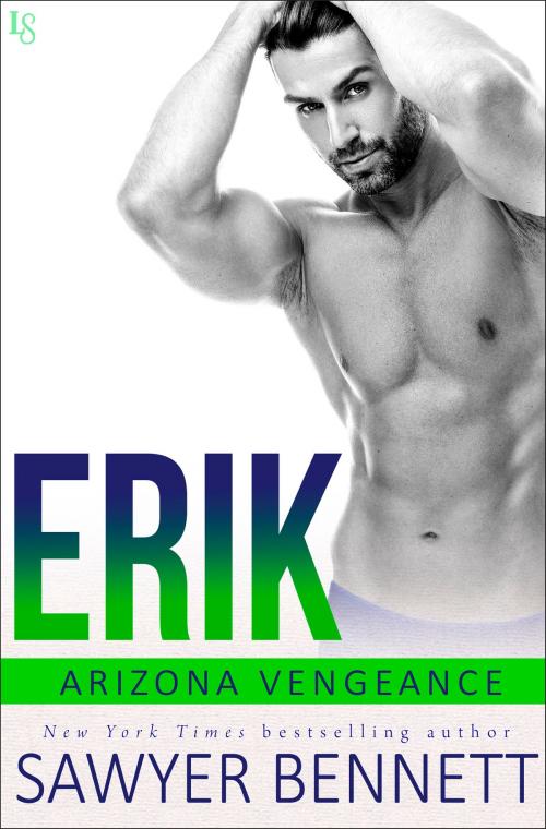 Cover of the book Erik by Sawyer Bennett, Random House Publishing Group