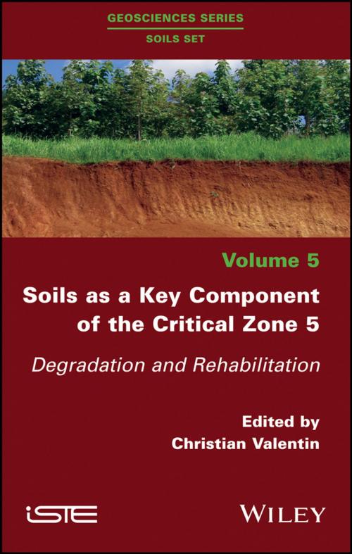 Cover of the book Soils as a Key Component of the Critical Zone 5 by , Wiley