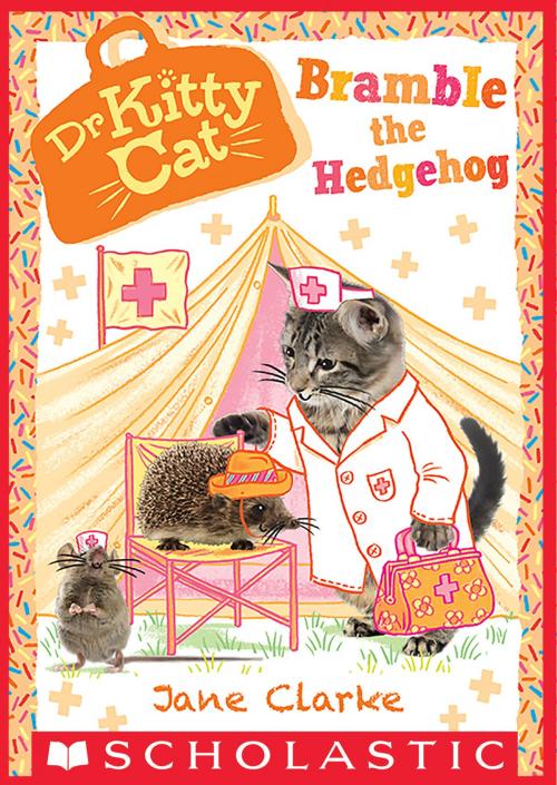 Cover of the book Bramble the Hedgehog (Dr. KittyCat #10) by Jane Clarke, Scholastic Inc.