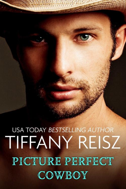 Cover of the book Picture Perfect Cowboy by Tiffany Reisz, Tiffany Reisz