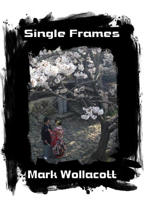 Cover of the book Single Frames by Mark Wollacott, Mark Wollacott