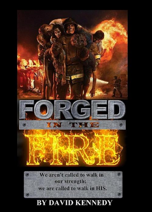 Cover of the book Forged In The Fire by David Kennedy, Diamondback Publishers International