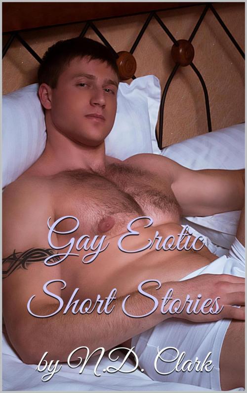 Cover of the book Gay Erotic Short Stories by N.D. Clark, N.D. Clark