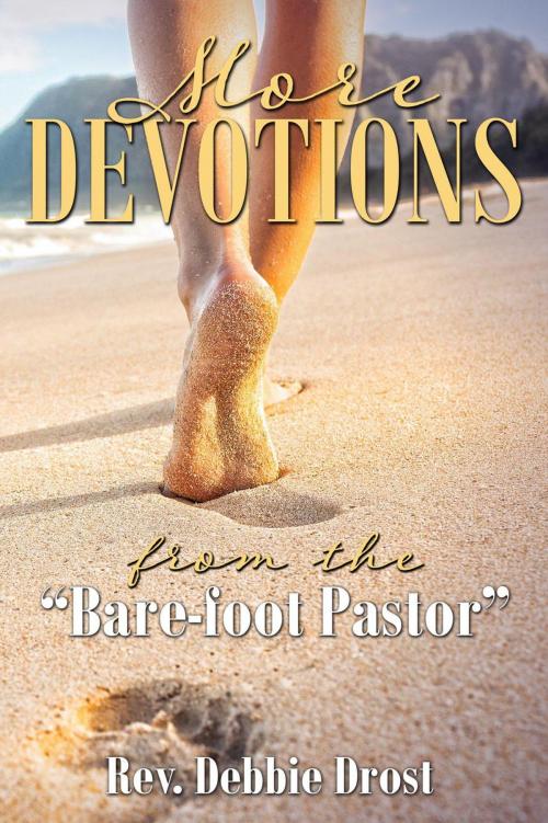 Cover of the book More Devotions by Rev. Debbie Drost, BrixBaxter Publishing