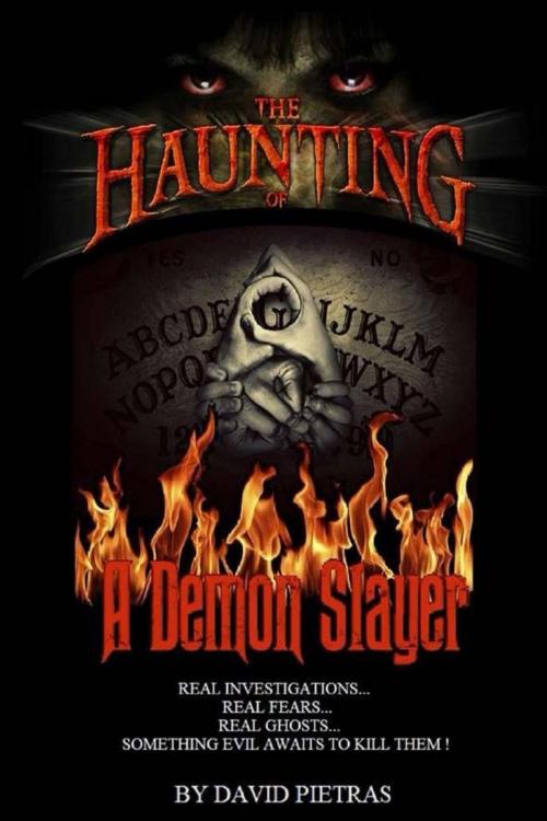 Cover of the book The Haunting of a Demon Slayer by David Pietras, Diamondback Publishers International