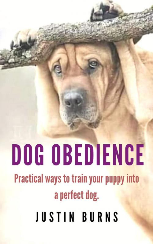 Cover of the book Dog Obedience: Practical Ways to Train Your Puppy Into a Perfect Dog by Justin Burns, Justin Burns