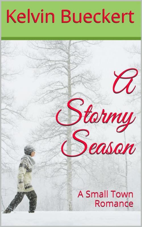 Cover of the book A Stormy Season by Kelvin Bueckert, Kelvin Bueckert