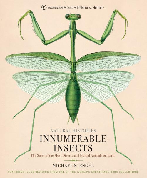 Cover of the book Innumerable Insects by Michael S. Engel, Sterling