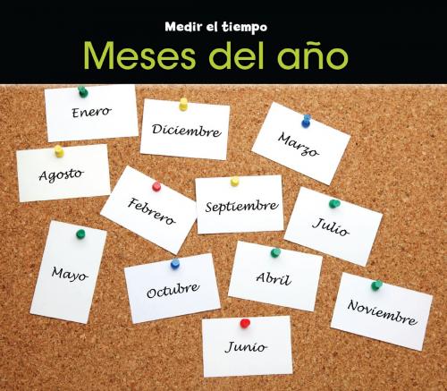 Cover of the book Meses del año by Tracey Steffora, Capstone