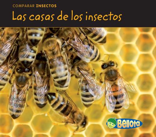 Cover of the book Las casas de los insectos by Charlotte Guillain, Capstone