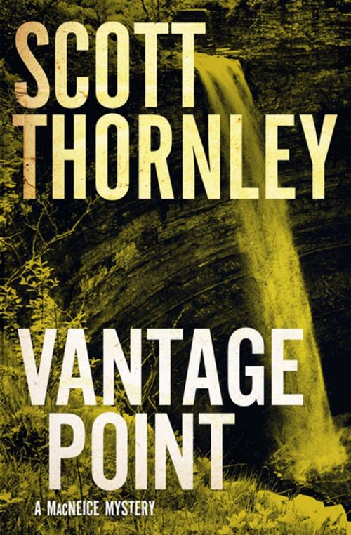 Cover of the book Vantage Point by Scott Thornley, House of Anansi Press Inc