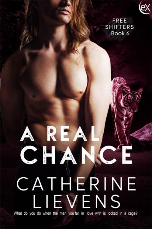 Cover of the book A Real Chance by Catherine Lievens, eXtasy Books Inc