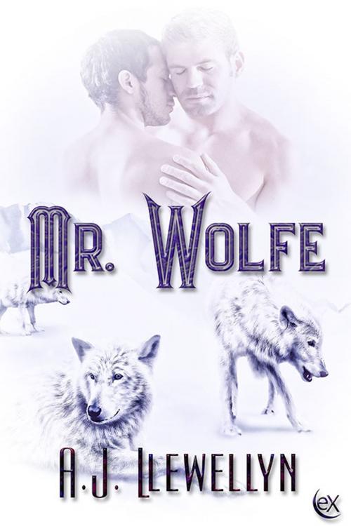 Cover of the book Mr. Wolfe by Tina Haveman, eXtasy Books Inc