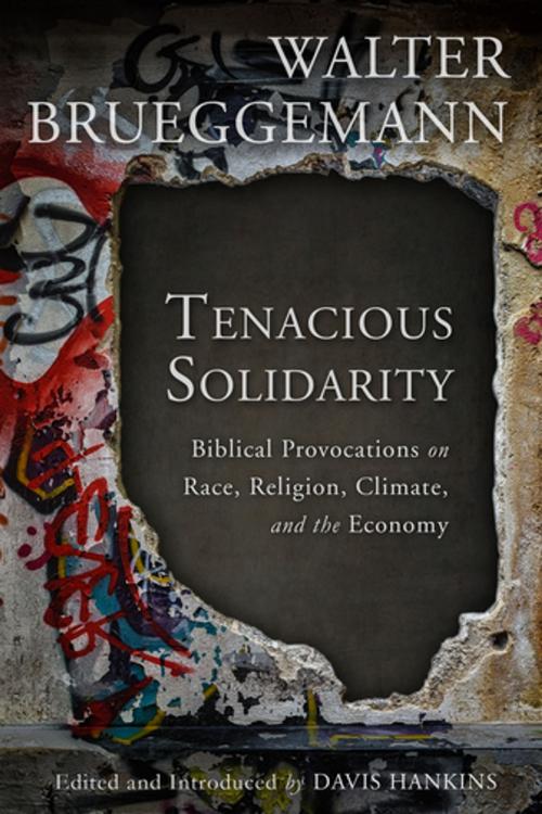 Cover of the book Tenacious Solidarity by Walter Brueggemann, Fortress Press