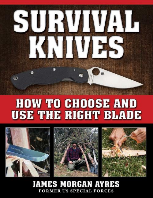 Cover of the book Survival Knives by James Morgan Ayres, Skyhorse