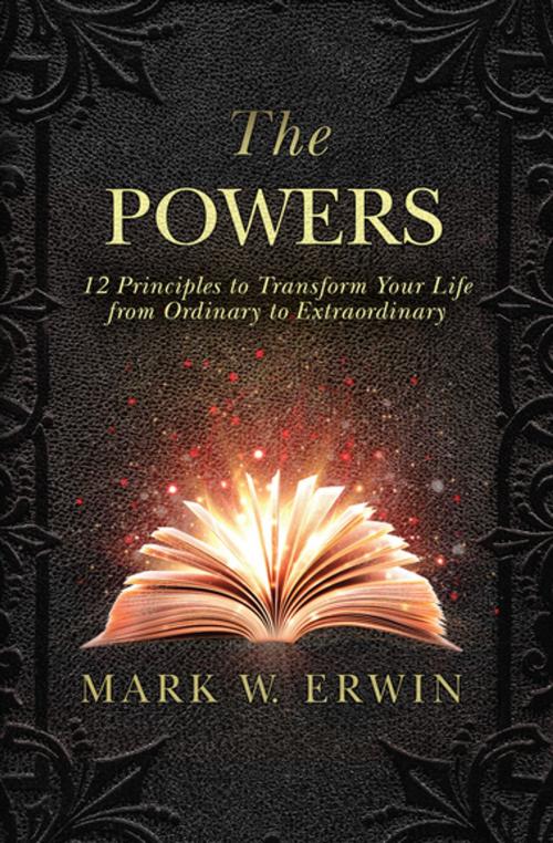 Cover of the book The Powers by Mark W. Erwin, Skyhorse Publishing