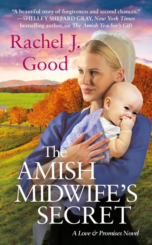 Cover of the book The Amish Midwife's Secret by Rachel J. Good, Grand Central Publishing