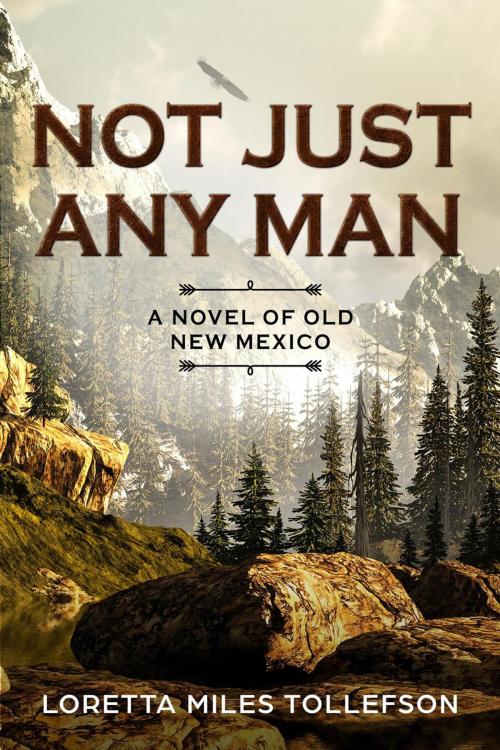 Cover of the book Not Just Any Man by Loretta Miles Tollefson, Palo Flechado Press