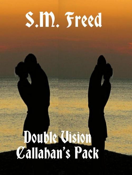 Cover of the book Double Vision by S.M. Freed, S.M. Freed