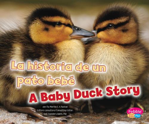 Cover of the book La historia de un pato bebé/A Baby Duck Story by Martha Elizabeth Hillman Rustad, Capstone