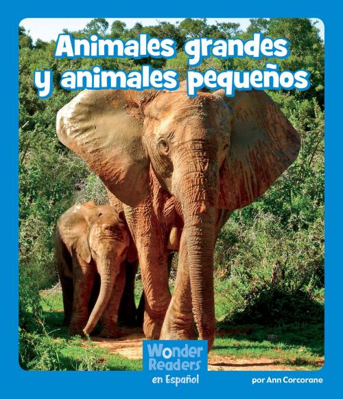 Cover of the book Animales grandes y animales pequeños by Ann Corcorane, Capstone