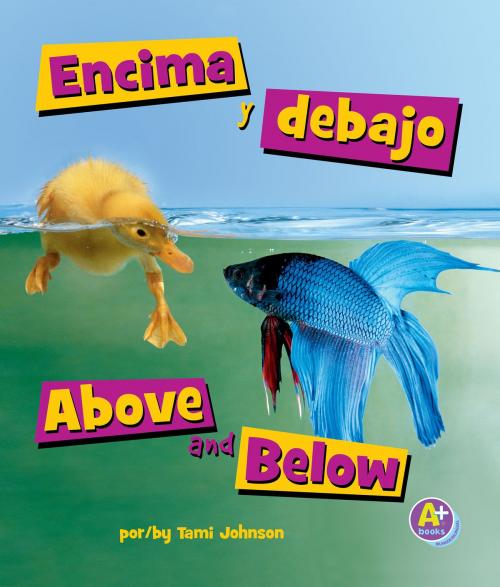 Cover of the book Encima y debajo/Above and Below by Tami Johnson, Capstone