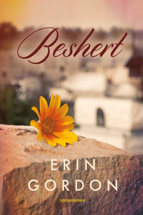 Cover of the book Beshert by Erin Gordon, BookBaby