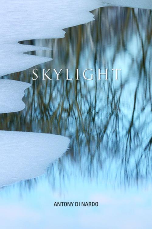 Cover of the book Skylight by Antony Di Nardo, Ronsdale Press