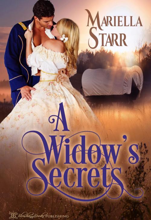 Cover of the book A Widow's Secrets by Mariella Starr, Blushing Books