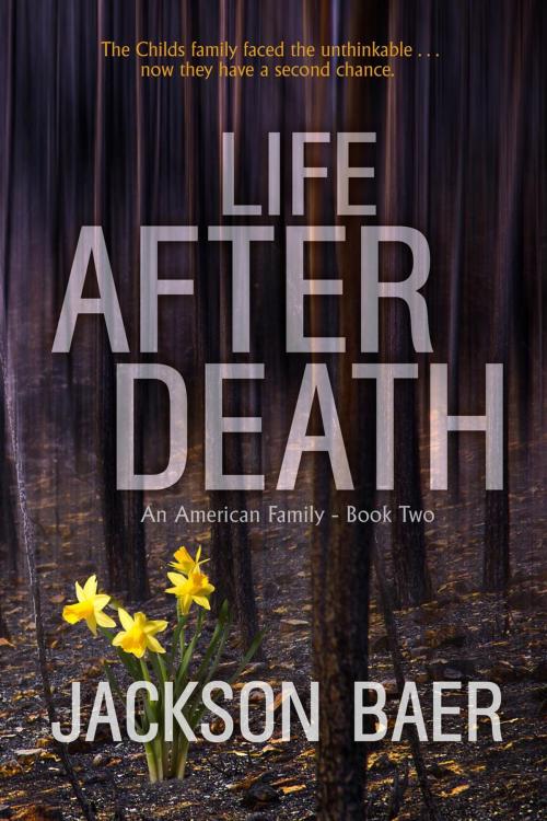 Cover of the book Life after Death by Jackson Baer, Evolved Publishing LLC