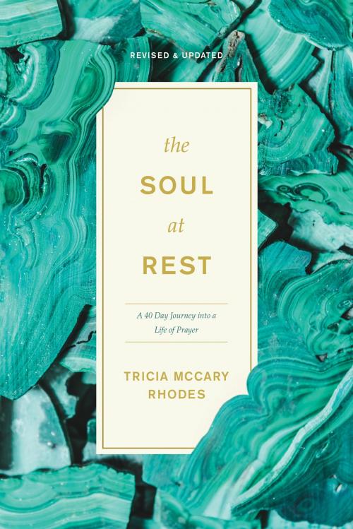 Cover of the book The Soul at Rest by Tricia McCary Rhodes, The Navigators