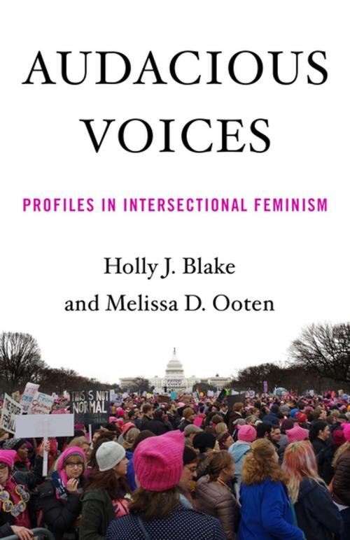 Cover of the book Audacious Voices by Holly Blake, Melissa Ooten, She Writes Press