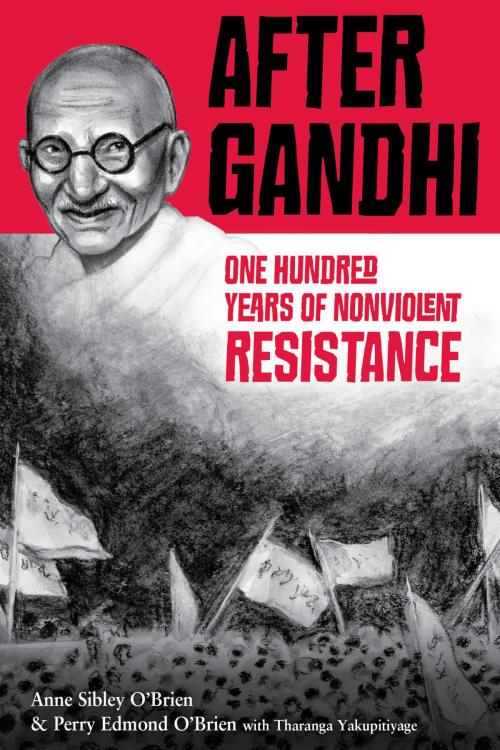 Cover of the book After Gandhi by Anne Sibley O'Brien, Charlesbridge
