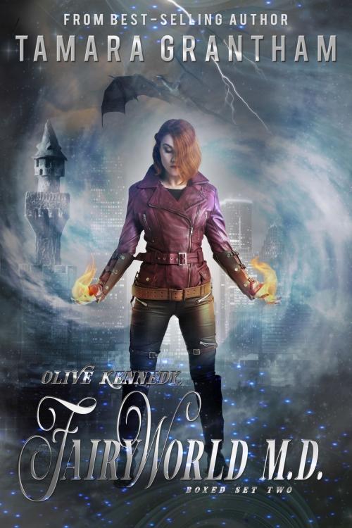 Cover of the book Fairy World M.D., Boxed Set Two by Tamara Grantham, Clean Teen Publishing, Inc.