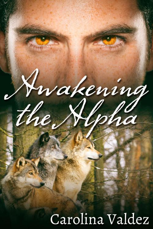 Cover of the book Awakening the Alpha by Carolina Valdez, JMS Books LLC