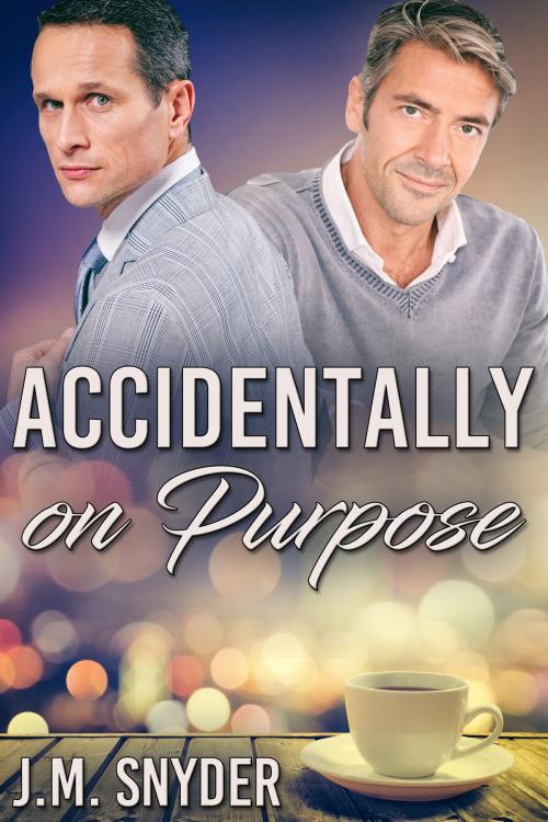 Cover of the book Accidentally On Purpose by J.M. Snyder, JMS Books LLC