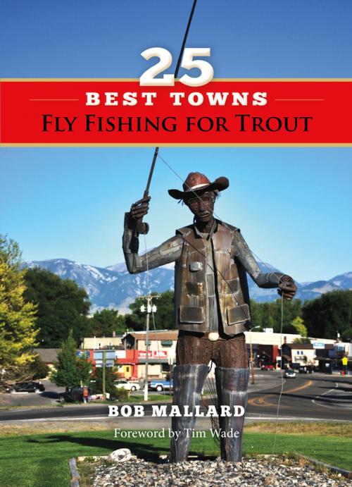 Cover of the book 25 Best Towns Fly Fishing for Trout by Bob Mallard, Stonefly Press