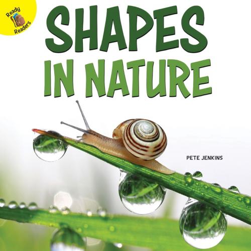 Cover of the book Shapes in Nature by Pete Jenkins, Rourke Educational Media