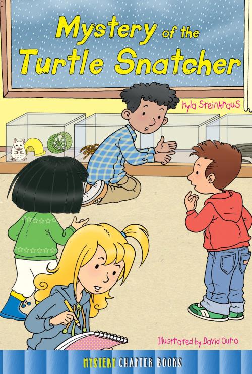 Cover of the book Mystery of the Turtle Snatcher by Kyla Steinkraus, Rourke Educational Media