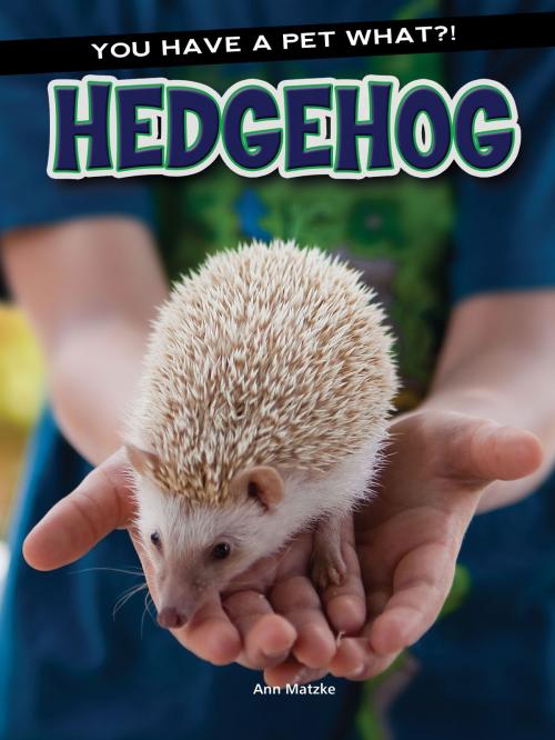 Cover of the book Hedgehog by Ann Matzke, Rourke Educational Media