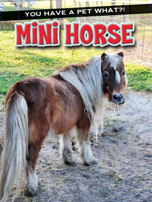 Cover of the book Mini Horse by Ann Matzke, Rourke Educational Media